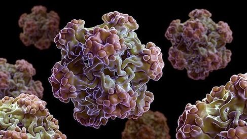 lidský papilloma virus