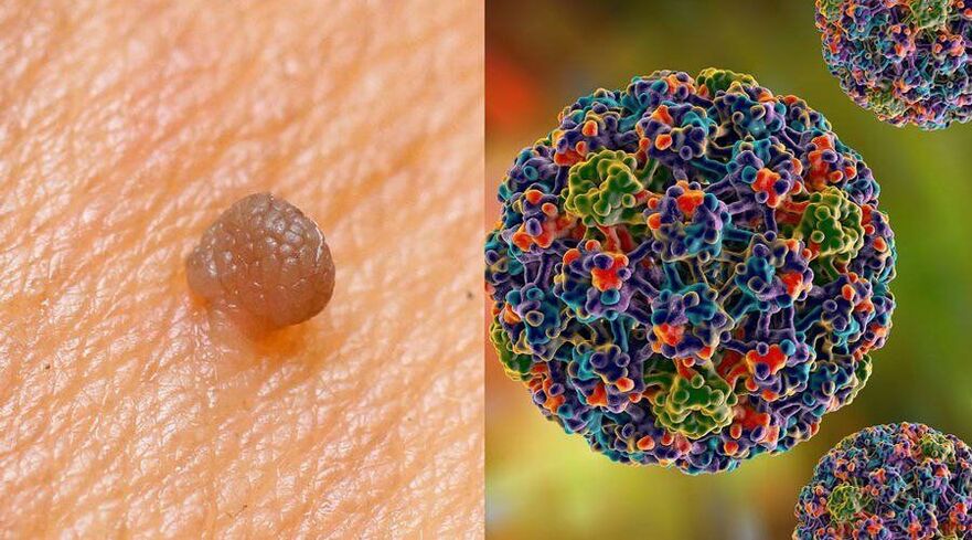 Cesty přenosu HPV